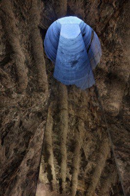 consider...the_pierre_5