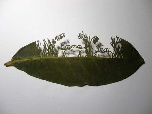 lorenzo duran leaf art - custom1