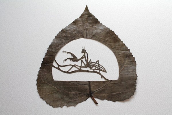lorenzo duran leaf art - 4