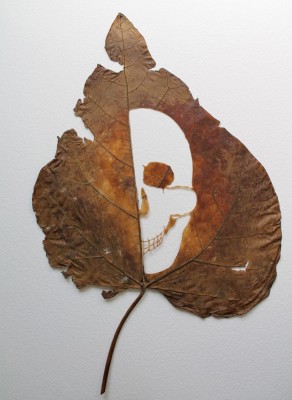 lorenzo duran leaf art - skeleton leaf