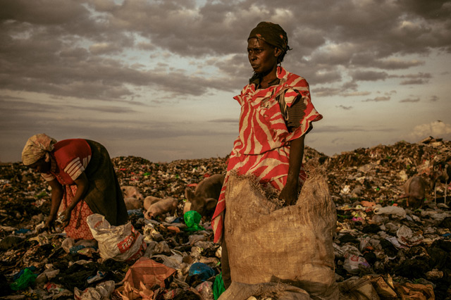 consider... National Geographic 2012 Winners - Amongst the Scavengers