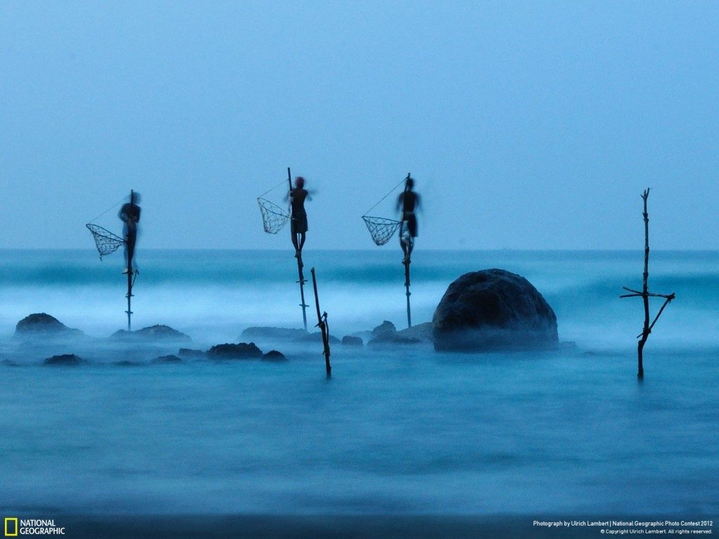 consider... National Geographic 2012 Winners - Stilt Fishing