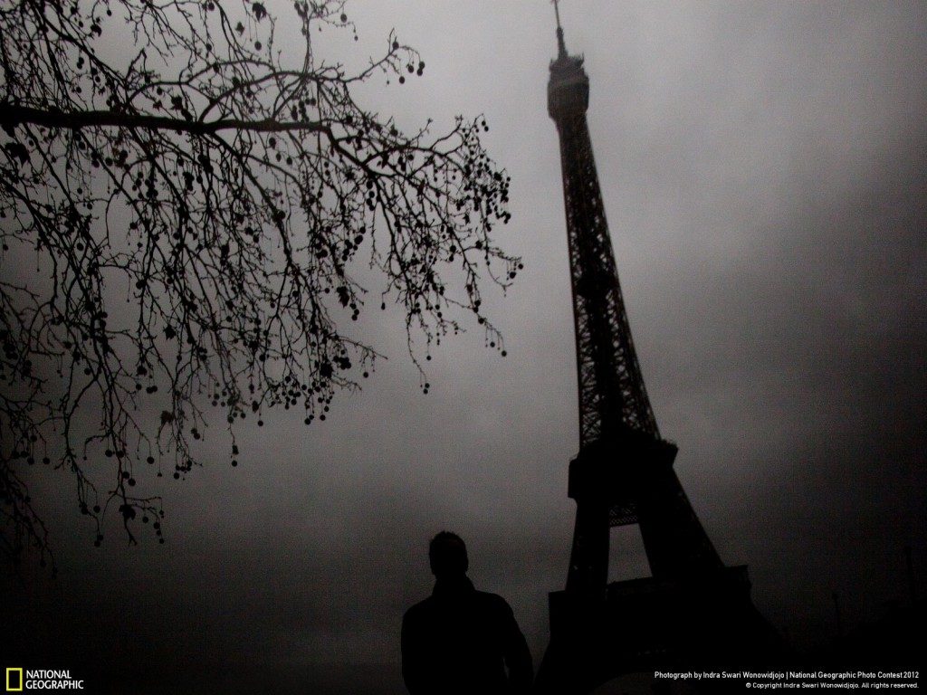 consider... National Geographic 2012 Winners - Winter gloomy day at the Eiffel Tower